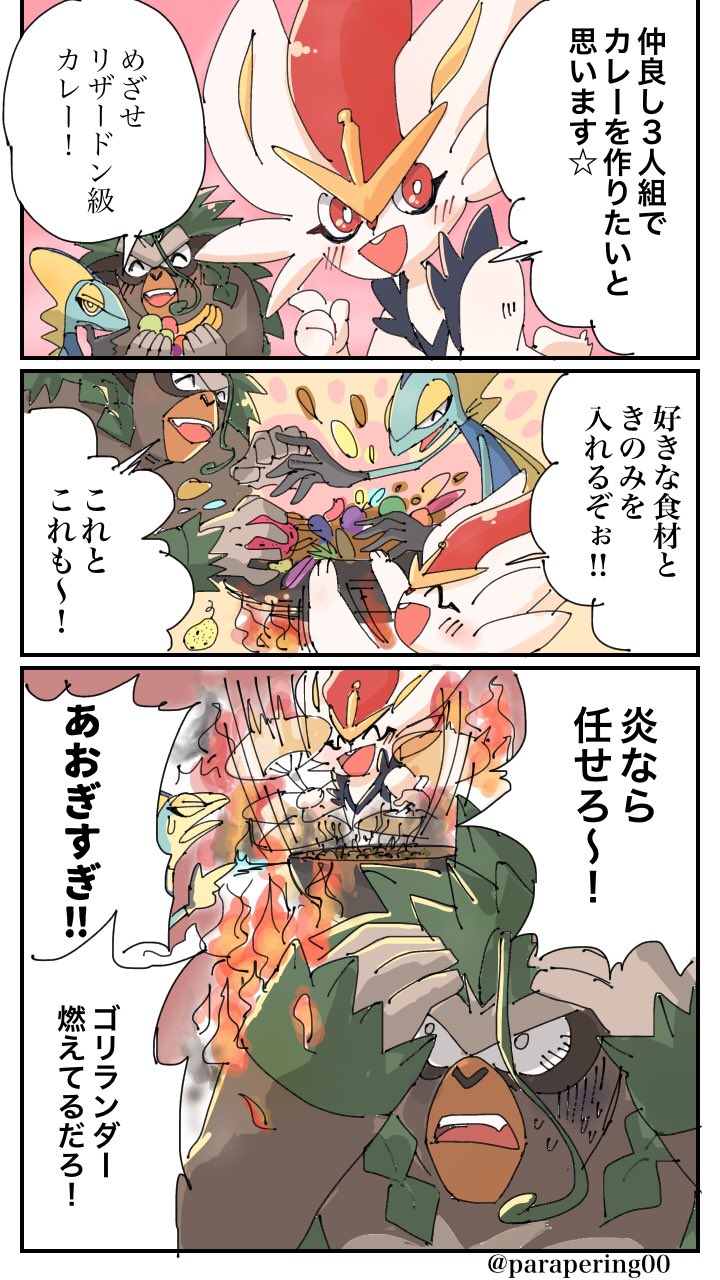 ぱらぺり Pa Twitter カレー作り