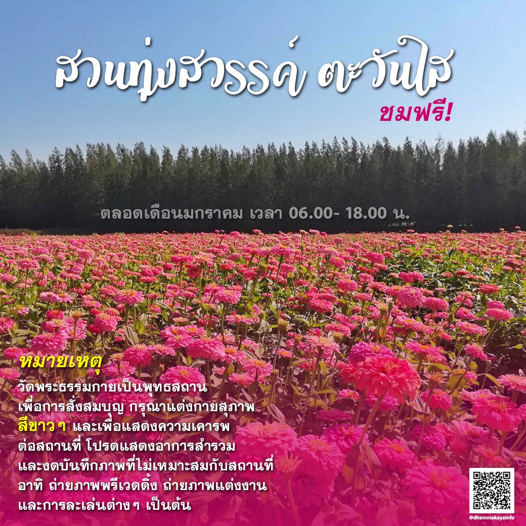 DhammakayaInfo's tweet photo. ชมฟรี!!! “สวนทุ่งสวรรค์ ตะวันใส”
ตลอดเดือนมกราคม เวลา 06.00- 18.00 น.

หมายเหตุ
กรุณาแต่งกายสุภาพ
สีขาวๆ และเพื่อแสดงความเคารพ
ต่อสถานที่ โปรดแสดงอาการสำรวม
และงดบันทึกภาพที่ไม่เหมาะสมกับสถานที่
อาทิ ถ่ายภาพพรีเวดดิ้ง ถ่ายภาพแต่งงาน
และการละเล่นต่างๆ เป็นต้น https://t.co/7G447x6ovt