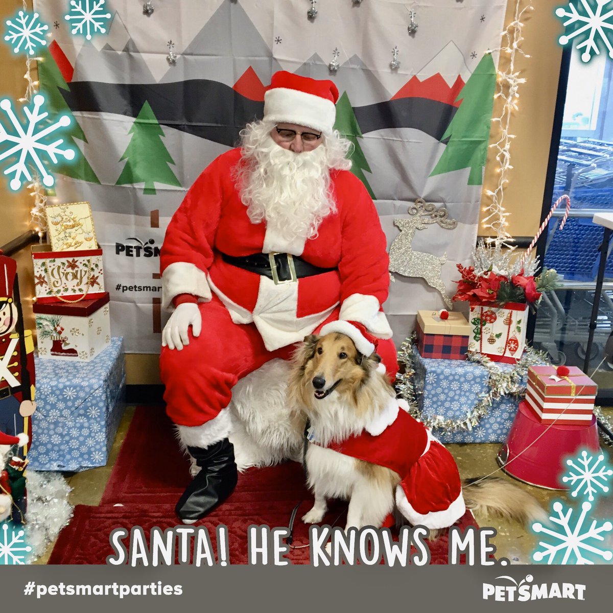 nutgraham's tweet photo. @Lt_Dan08 @Mike2020 Yes I did.  LUCI loves to travel,  loves #nc and @MikeBloomberg and has several outfits for her events.  LUCI loves meeting new people too.  Here with Santa 🎅���� was one of her favorite outings just last month. https://t.co/J9ji8ywiVM