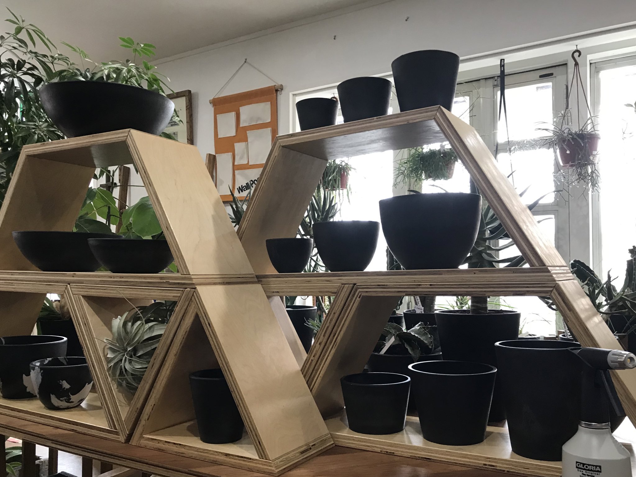 Clutch Furniture 黒プラ鉢がたっぷり入荷してきました Clutchfurniture クラッチファニチャー Kobe 神戸 神戸市西区 植木鉢 植え替え 黒鉢 黒プラ鉢 Blackpot アガベ 塊根植物 コーデックス サボテン アロエ 多肉植物 ティランジア エア