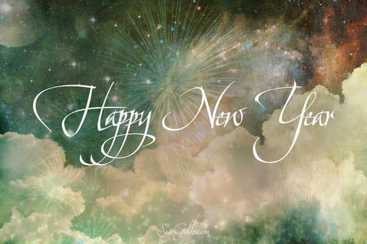 Tranzmission tweet media