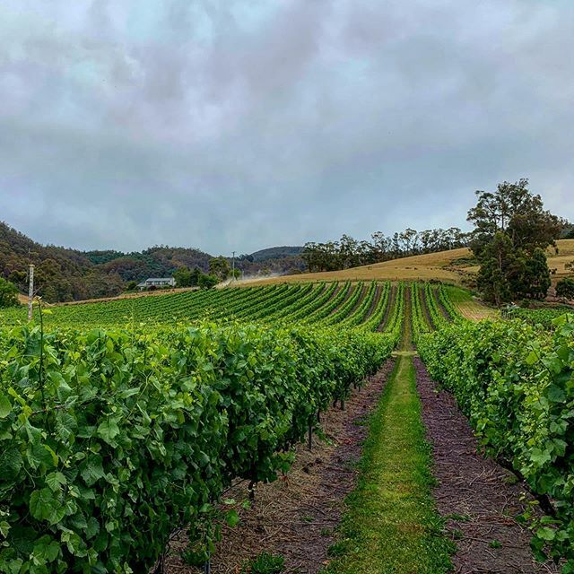 Cheeky lil wine stop today #smokeysky #tasmania #wine #australia ift.tt/37FYs5r