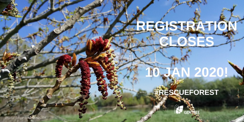 GentreeProject's tweet photo. We have still seats available at our Final Conference "Genetics to the rescue" on 28-29 Jan 2020. Registration closes on 10 Jan 2020  so be sure to click the link and join us in Avignon: https://t.co/26nB02TU2G
#rescueforest https://t.co/hXhDdUWdp7