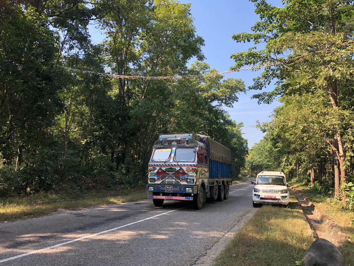 Roads affect wildlife in numerous ways! To protect wildlife, WWF Nepal initiated to construct wildlife-friendly passes and related structures along the roads. Below you can see a canopy bridge for wildlife crossing (photo taken by Aryal Manoj). <a href="/WWFNepal/">WWF Nepal</a> <a href="/grp_resilience/">globalresilience.bsky.social</a>