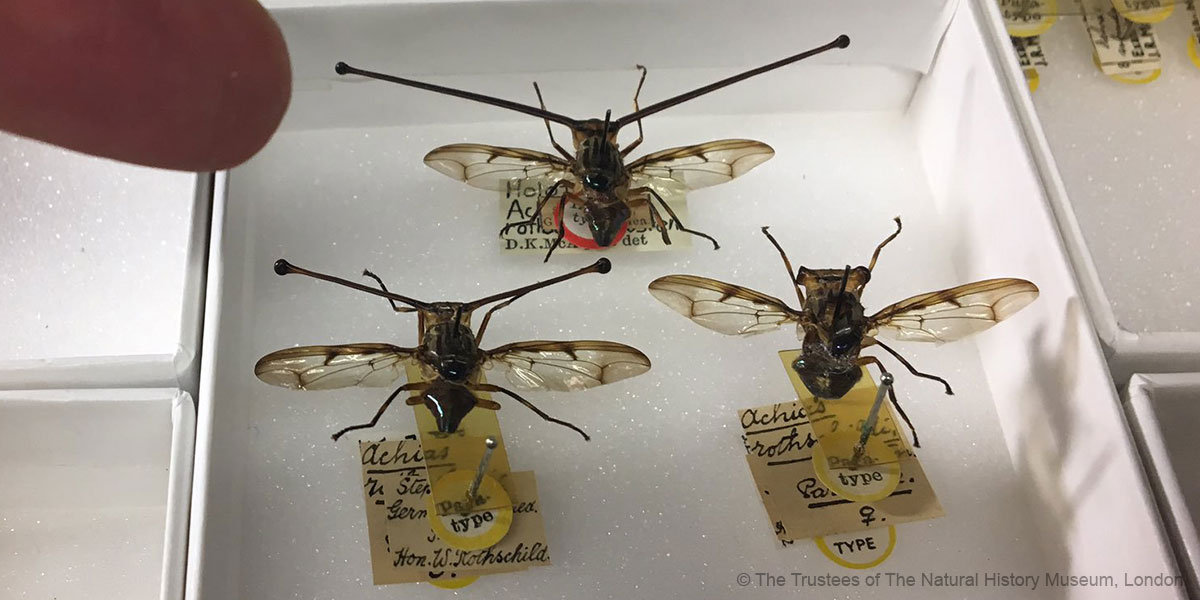 Natural History Museum tweet media