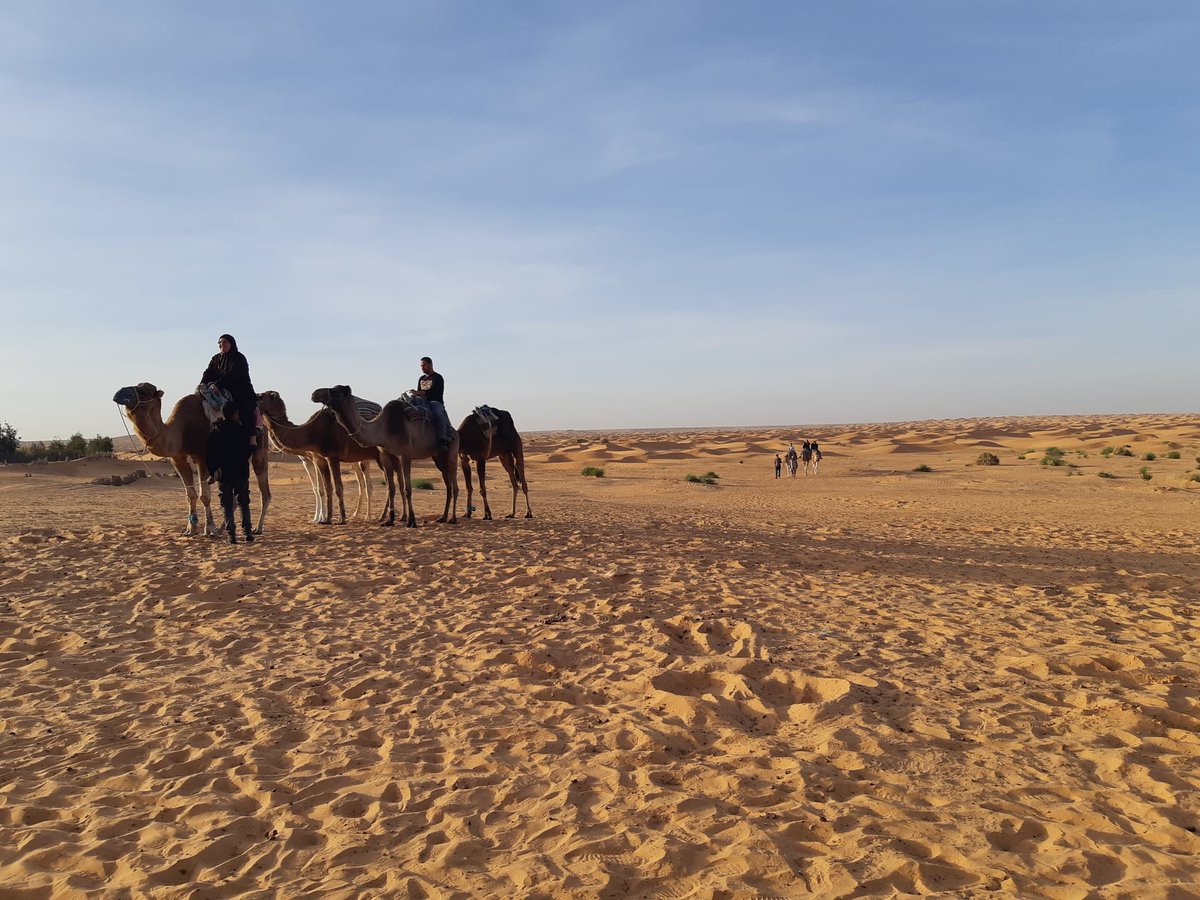 ★ Des nouvelles de l’atelier ★
En décembre, 2 membres de la team C&amp;S sont parties pour une petite escapade à l’étranger☀️
Sabrina est partie à la découverte du désert tunisien avec l’un de nos clients. Virginie, elle, s'est envolée sous le soleil de Madère pour découvrir l'île.