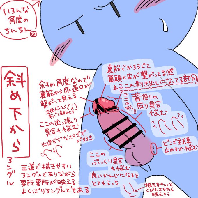 【R18/資料】いろんな角度のちんちん 〜斜め下からアングル〜 
