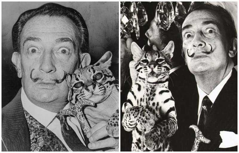 #SabiasQue Ai Weiwei es un amante de los gatos, Dalí tenía un animal en peligro de extinción que le regaló el presidente colombiano, Frida Khalo se rodeó de perros, pájaros, un ciervo y dos monos araña. ¿Te imaginas qué #mascota tenía Pablo Picasso? barnebys.es/blog/los-artis…