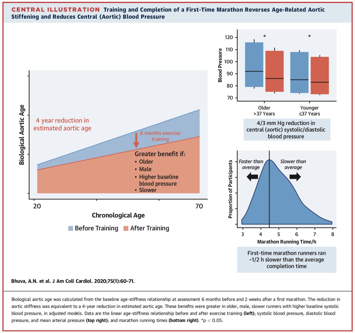 Real world study evaluating the benefits of exercise training for a 'first-time' marathon - improvements observed in BP and aortic stiffness, with a reduction in 'aortic age'. Greatest benefit in older males with high BP. Still time to get my trainers back on! #running #cardioed