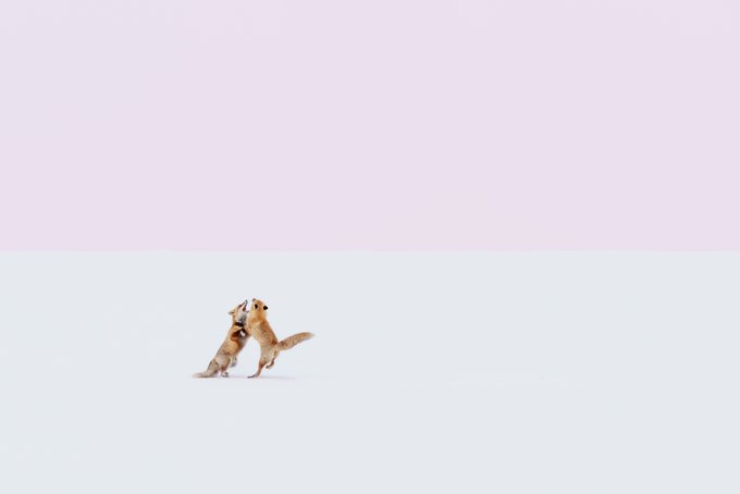 フォトグラファーのtwitterイラスト検索結果 古い順 フォトグラファーのtwitterイラスト検索結果 古い順