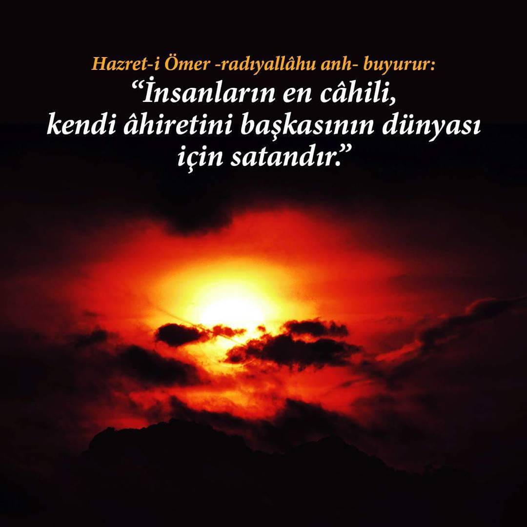 Rifade's tweet image. 