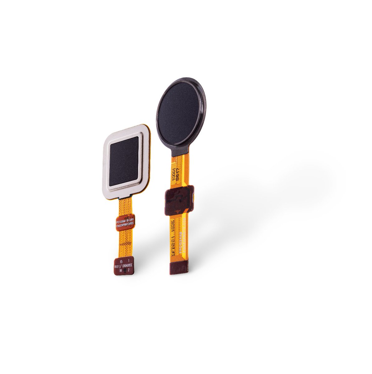 FingerprintCard's tweet photo. NEWS: We have unveiled the latest additions to our #access series, the #FPC1020 and #FPC1024 capacitive touch #sensors. Learn more here: https://t.co/Us7yIaWgTH #accesscontrol #authentication #biometrics https://t.co/PmTQ8IwJyA