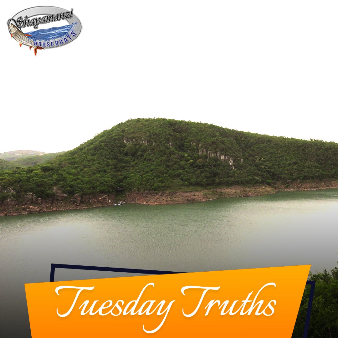 ShayamanziSA's tweet photo. 𝐓𝐮𝐞𝐬𝐝𝐚𝐲 𝐓𝐫𝐮𝐭𝐡𝐬:🚤

The #Pongola #River cuts through the serene #Lebombo and #Ubombo #mountains on its way to the #Makhathiniflats.

#shayamanzi #Lebombo #Ubombo #mountains #jozini #Swaziland #nature #SouthAfrica #tuesdaytruth #adventure #outdoors #landscape #explore https://t.co/xfeXodESGe