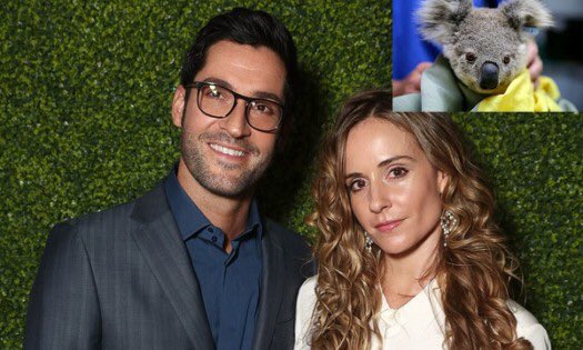 felicitypriehs5's tweet photo. To help Rescue Wildlife from the Australian Bushfires Tom Ellis and his wife Meaghan Oppenheimer have started the fundraiser on Gofundme page. All the money collected will go to NSW WILDLIFE INFORMATION RESCUE AND EDUCATION SERVICE INCORPORATED. Well done @tomellis17 @MoppyOpps https://t.co/j0Uaz92p2J