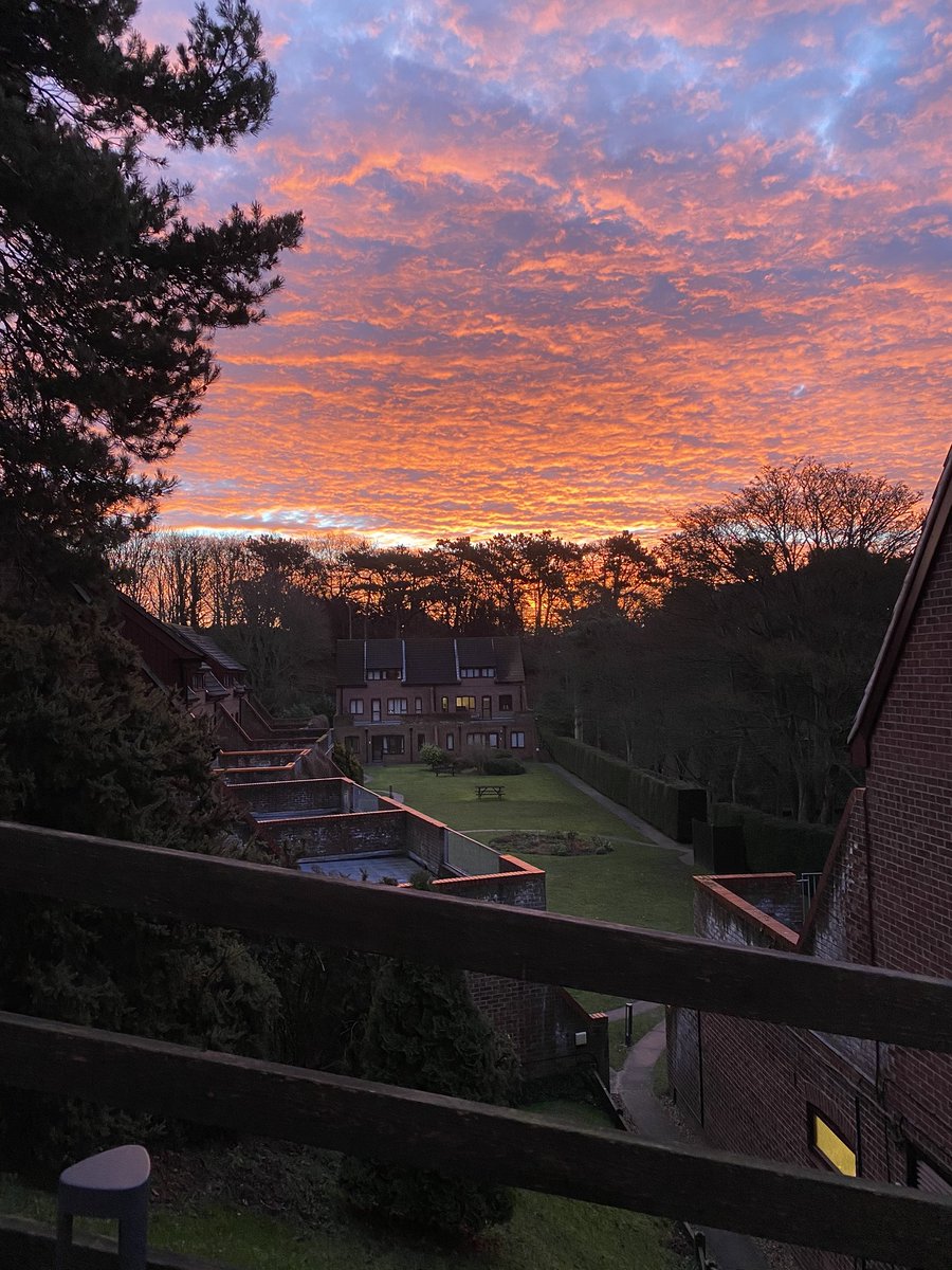 samantha tweet media