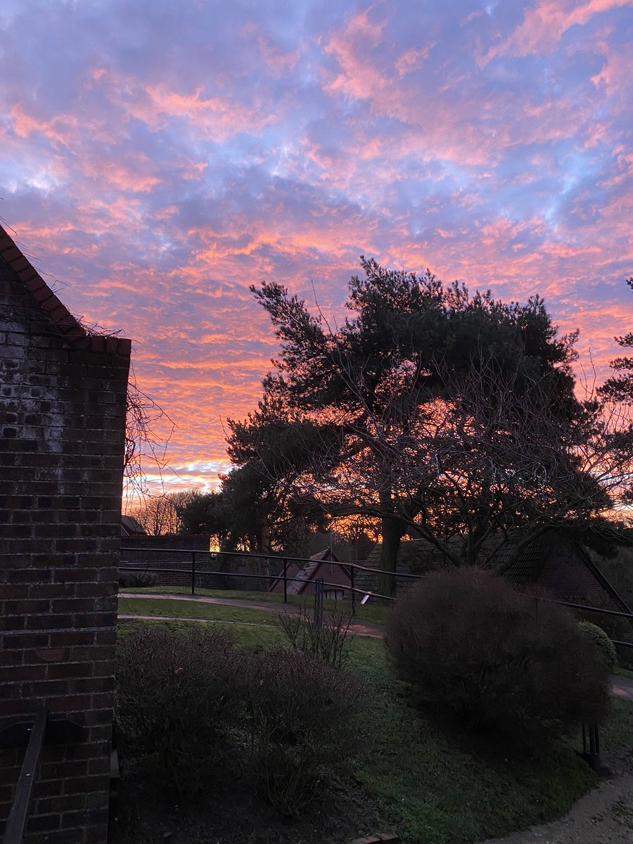 samantha tweet media