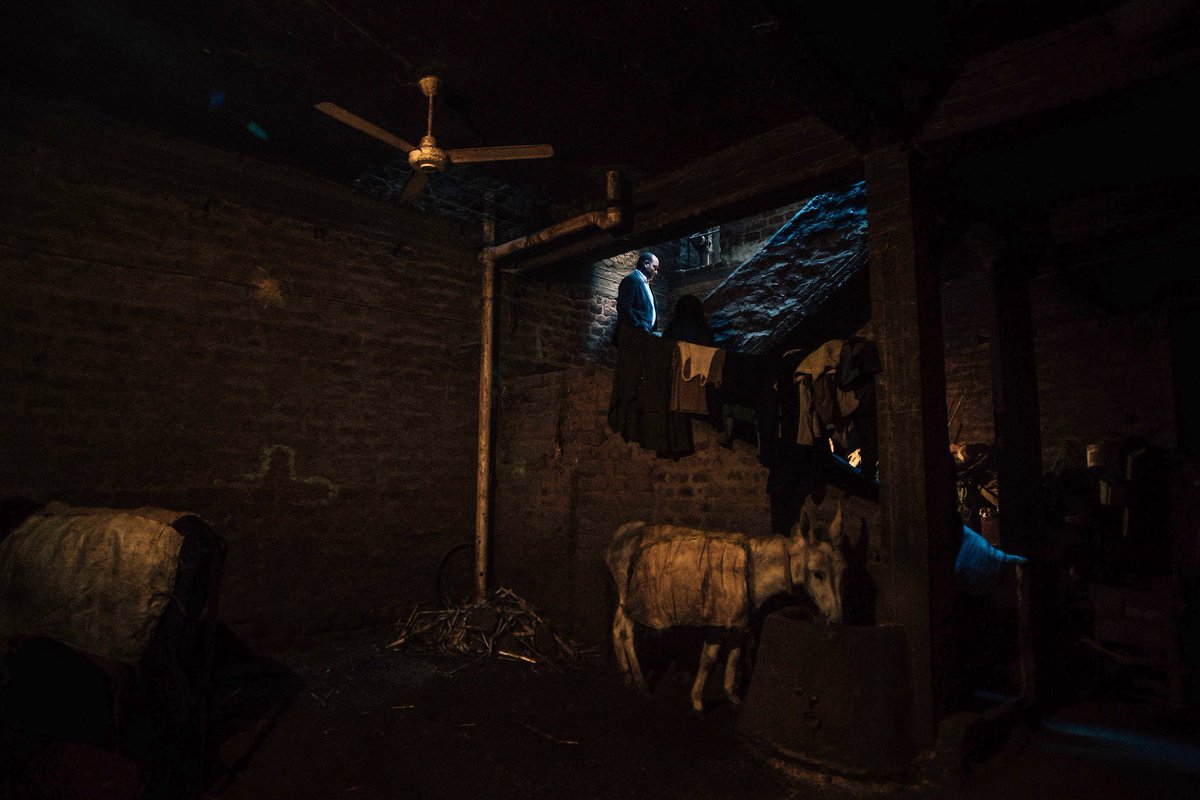 rosaauthor's tweet photo. Pastor Amir Nafa climbs a staircase to a family home on Christmas Eve in Sidfa, Egypt. With an average monthly income of $125, and restricted from many jobs because of their faith, Christians in lower Egypt frequently live indoors with their animals. https://t.co/kGWSC1monP
