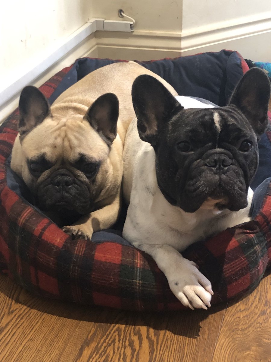 Beverley Theato tweet media