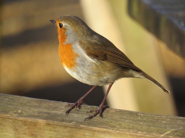 Gorgeous photos taken at <a href="/batemansnt/">Bateman's NT</a> shared with us by @adam_in_sussex - thank you 😊