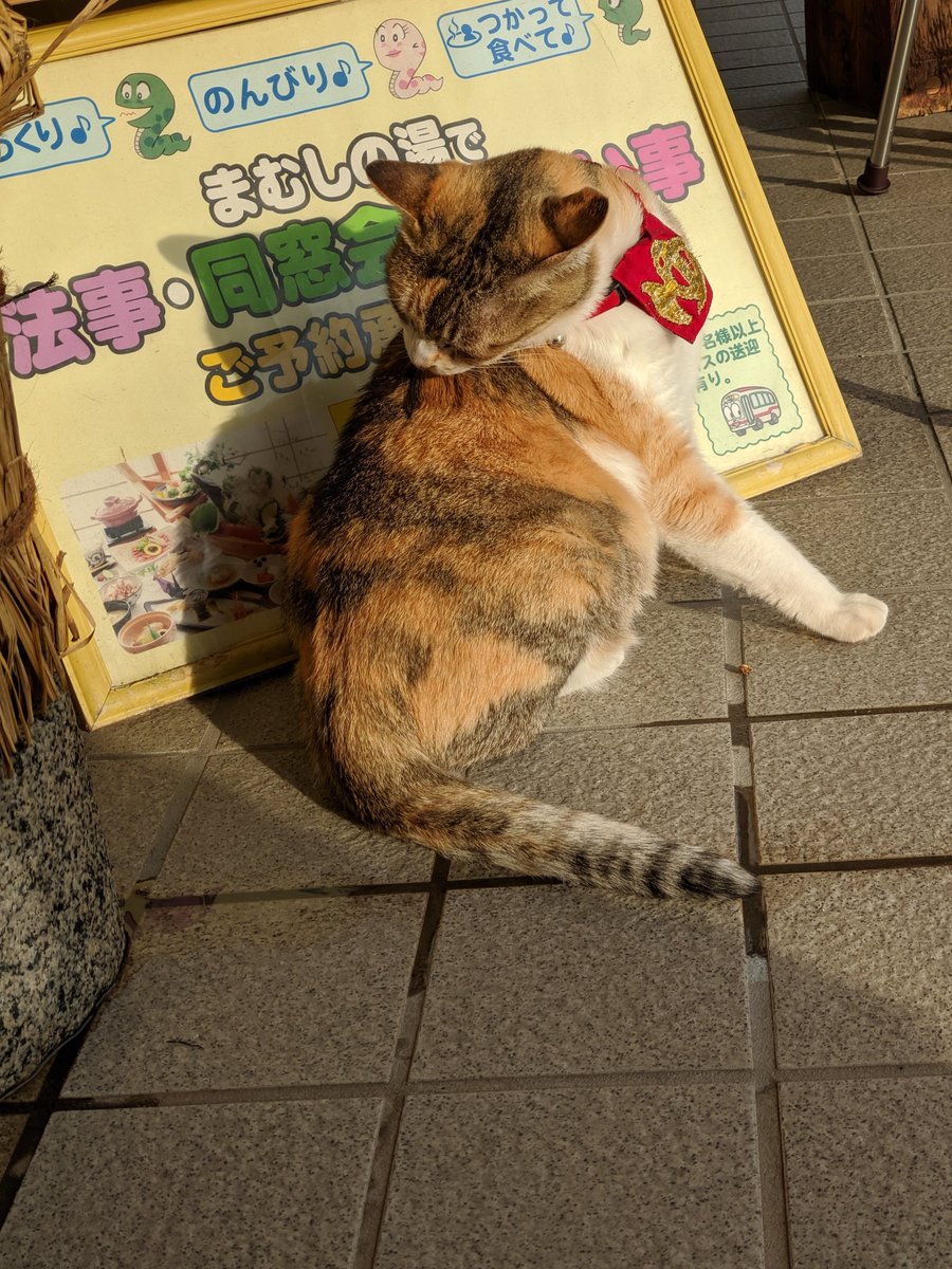 まむしの湯