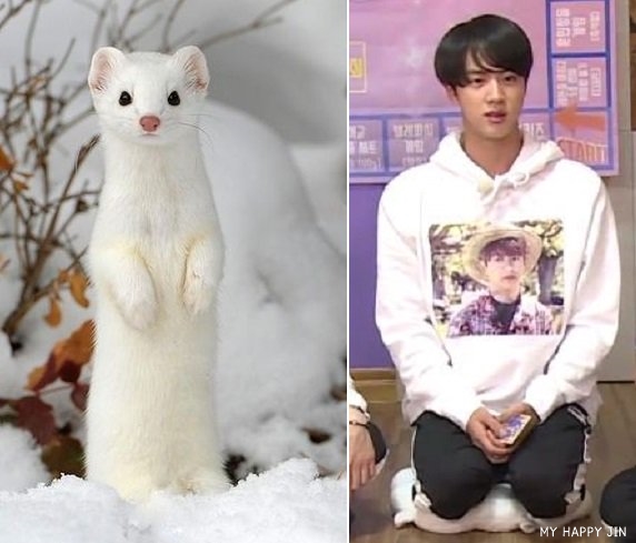 MyHappyJin's tweet photo. 김석진 담비

#방탄��년단진 #방탄진 #BTSJIN https://t.co/bhYats7Pgg