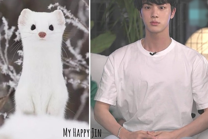 MyHappyJin's tweet photo. 김석진 담비

#방탄��년단진 #방탄진 #BTSJIN https://t.co/bhYats7Pgg