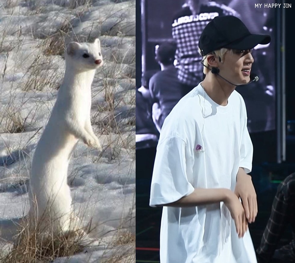 MyHappyJin's tweet photo. 김석진 담비

#방탄��년단진 #방탄진 #BTSJIN https://t.co/bhYats7Pgg