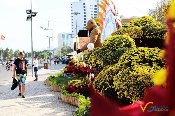VietjetR's tweet photo. Vé máy bay Tết đi Nha Trang 2020 Bamboo Airways, năm nào cũng vậy cứ đến những tháng cuối năm là câu chuyện về vé máy bay Tết lại được quan tâm hơn bao giờ hết. 
https://t.co/CjtbSaDD1Y https://t.co/8i9tLXBJcM