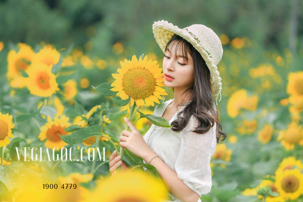 VietjetR's tweet photo. Giá vé máy bay tết đi Đà Lạt 2020_ là dịp để những người con được sinh ra nơi vùng đất cao nguyên này được trở về cùng với những người thân yêu sau một năm bộn bề tất bậc vì công việc hay học tập.
https://t.co/T2gle3Q3fv https://t.co/Rxq6ebzXav