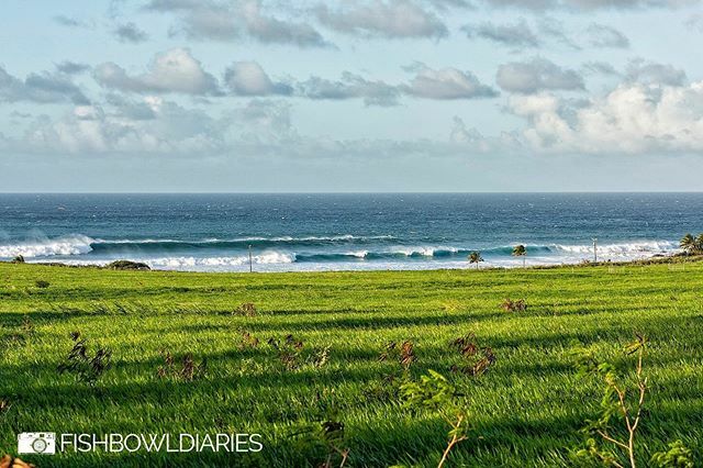 MAUI 🌴SPRING @maui_experience_camps 
April will be the warm welcome to the long winter.  We’re looking forward to the fourth edition of windsurfing spring camps.  For all your info visit Siverwindsurfing.com 
April 5-10 ☀️ April 26-May3rd. 
#maui #vacation #sun #ocean #w…