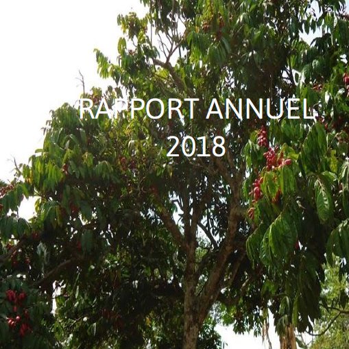 assoADESAF's tweet image. Retrouvez notre rapport annuel d'activité 2018 sur notre site internet👉adesaf.fr/rapports-et-do…