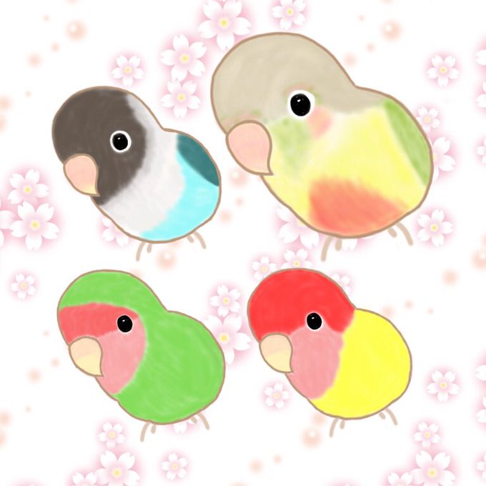 オカメインコのtwitterイラスト検索結果 古い順