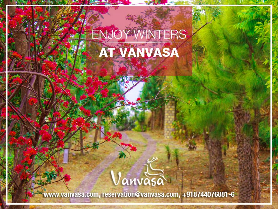 VanvasaR's tweet photo. Enjoy winters at Vanvasa...
#winter #style #mountains #winterwonderland #beautiful #naturephotography #landscape #ski #happy #nature #love
 #luxury #Pool #party #Cottage #Villa #VanvasaResort
Visit : https://t.co/yyzqgzV0k5
Contact : 8744076881-6 https://t.co/drqa2fTO2n