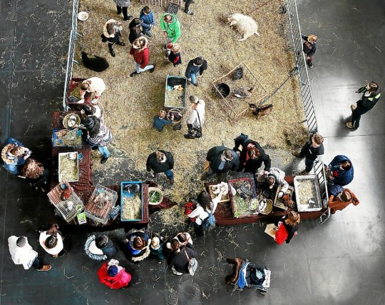 puget_david's tweet image. Quimper se met au vert. 5ème édition du Salon de la bio et du bien-être @BreizhNature du 10 au 12 janvier au Parc Expo @quimpereven. Merci au @TLGQuimper 
Ravi que l’événement continue de progresser et participe à notre démarche éco-responsable avec @Bzhtransition @UNAFapiculture