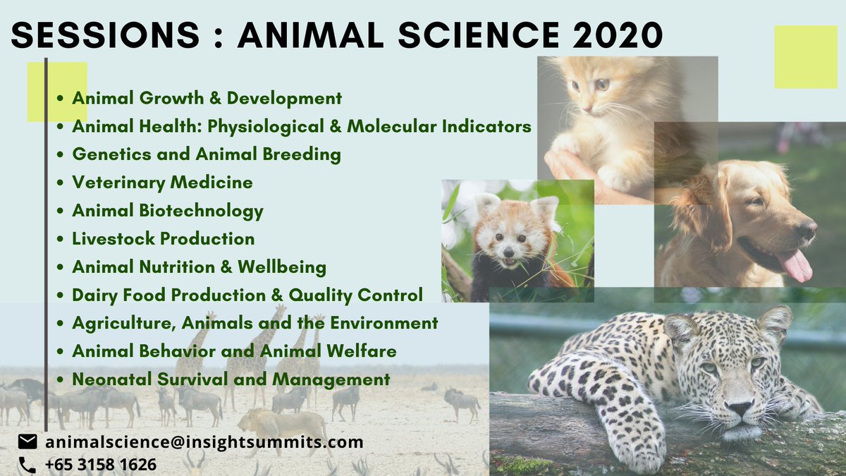 VetScience2020's tweet photo. Be a part of this grand endeavor which focuses on awareness as well as methods implemented for Animal safety and welfare.
#Sessions #AnimalScience2020 #veterinary_medicine
For more-
Visit: https://t.co/TcOfEpeHT9
Mail: animalscience@insightsummits.com
Call: +65 3158 1626 https://t.co/o7xyObPGIB