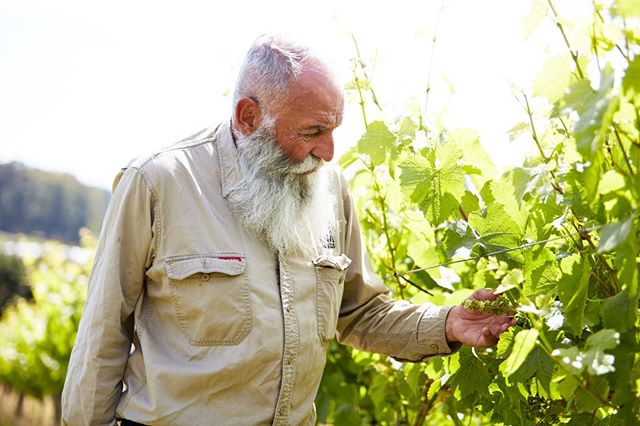 SixAcresWine's tweet photo. Plans for this Friday evening? Ralph will be at olindacellarswinestore showing off some new release wines, including our triple Gold Medal winning 2018 Six Acres Pinot Noir – you’ll be one of the first to try it! From 5 – 8pm drop in for a tasting to welcome in the weekend. ⁠
⁠ https://t.co/YNnyF5dvEf