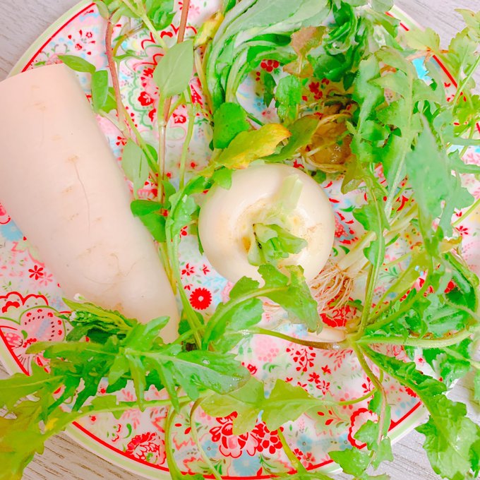 春の七草だよね〜〜粥る〜☺️🍲 