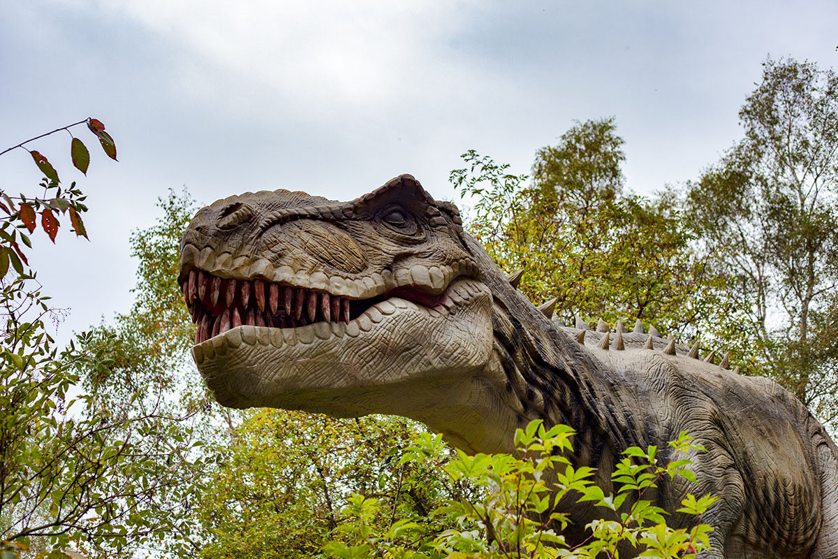 Cuando llegues al oeste de <a href="/auvergnerhalpes/">Auvergne-Rhône-Alpes</a> notarás que estás en un territorio muy especial, con una energía fantástica y unos paisajes increíbles entre #volcanes y #dinosaurios canasdeviaje.com/auvernia-entre…
#Unesco #PuydeDôme