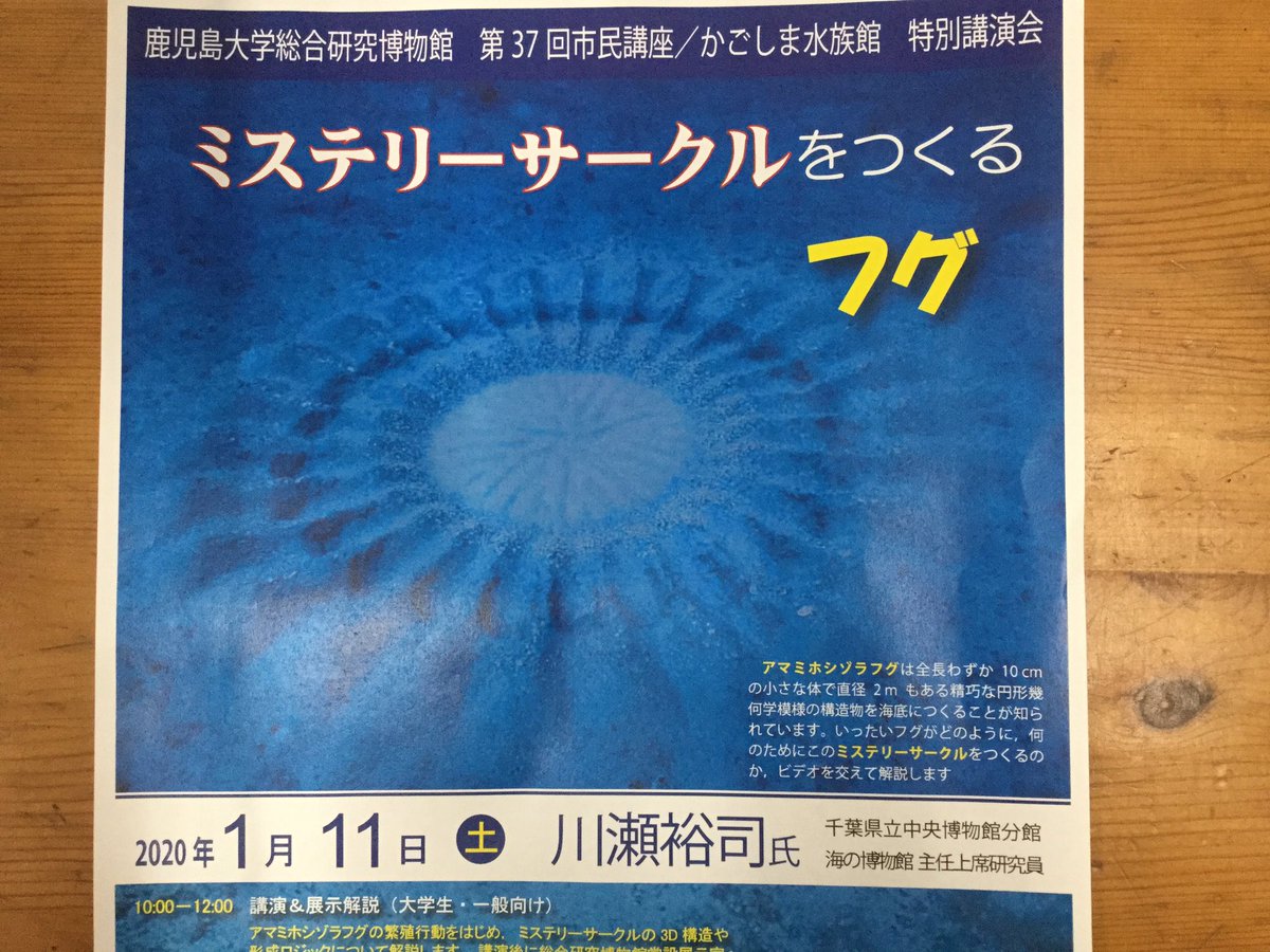 ミステリーサークルを作るフグ