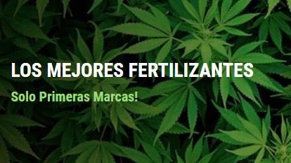 GreenMoneyGrowS's tweet photo. @GreenMoneyGrowS
COMENZAMOS EL AÑO CON BUENAS NOTICIAS 
Visítenos en https://t.co/tbFroRCaIn y podrás solicitar tu presupuesto a medida y lo mejor... AL MEJOR PRECIO DEL MERCADO!!! #greenmoney #bloggreenmoney #growshop #growshopgranada #cultivavida #cultivaconprofesionales https://t.co/dENtwX6Uvl