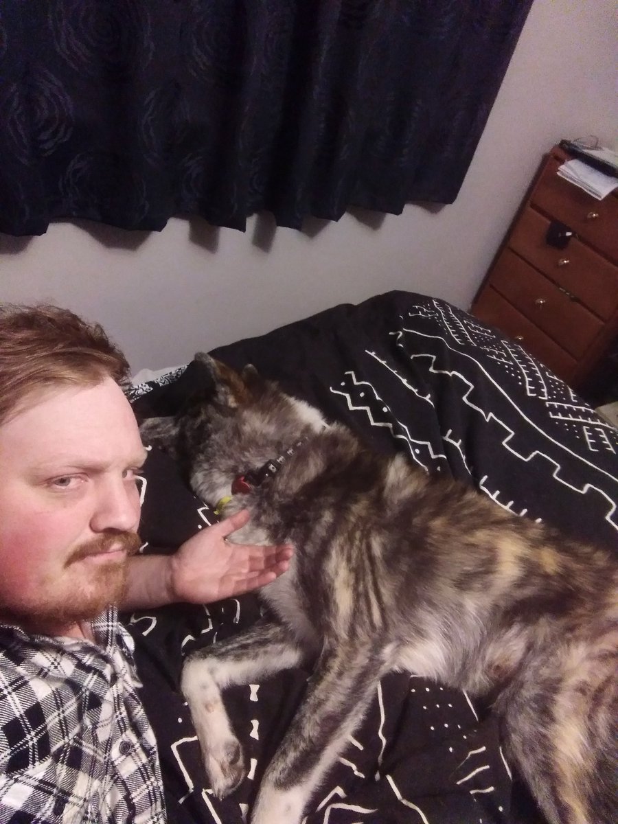 GoosiNZ's tweet photo. @MessyEssyy I need a bigger bed, 11 months and he's huge 😅 https://t.co/tK7oGsVJau