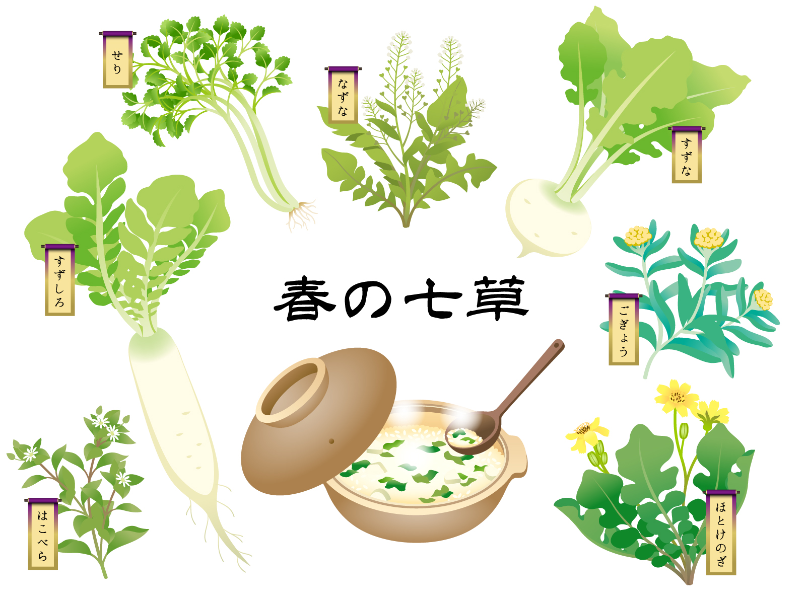 神社検定 本日は五節句のひとつ 人日です 無病息災を願い 七草粥 を食べることでも知られています 七草の種類は時代や地域によって異なるようですが 一般に知られているのは以下の7種です 短歌のリズムで セリ ナズナ ゴギョウ ハコベラ