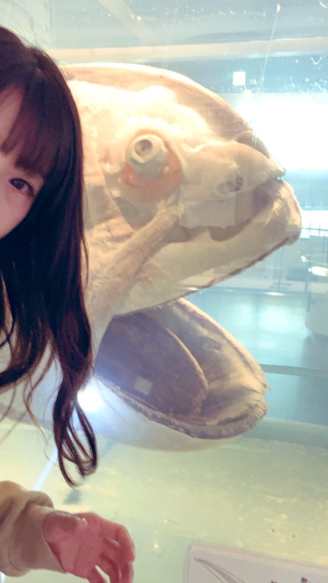 tomasuzu14's tweet photo. 今日は弟のお誕生日🥳
おめでとう㊗️
代わりにケーキたべとくね🎂 https://t.co/579BOxohn1