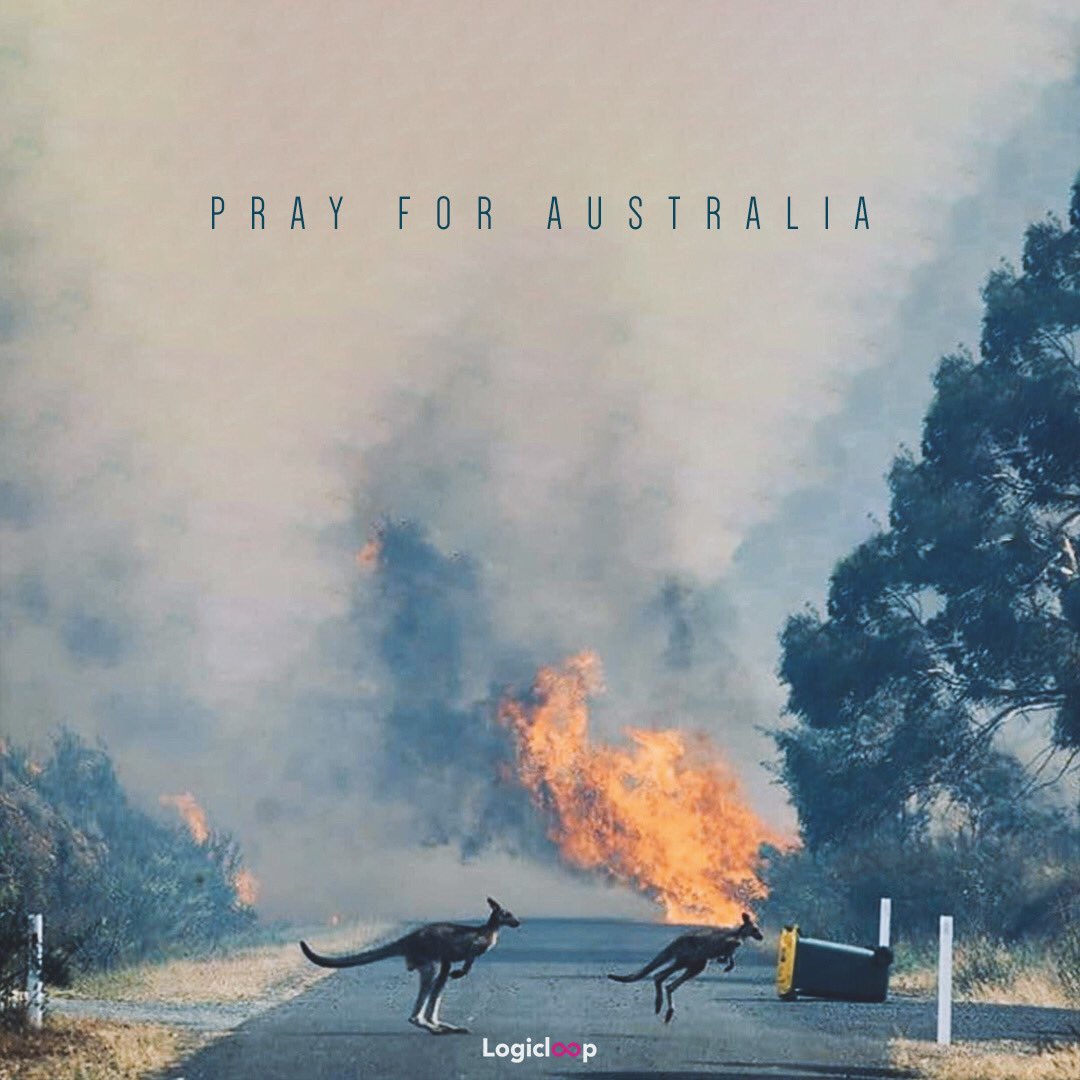 LogicLoop_io's tweet image. Australia has 125 million hectares of forest with intense biodiversity and it is the the seventh-largest reported forest area worldwide. New South Wales consists the most of and it is burning right now!

#AustralianBushfiresDisaster #AustraliaisBurning #australiafire