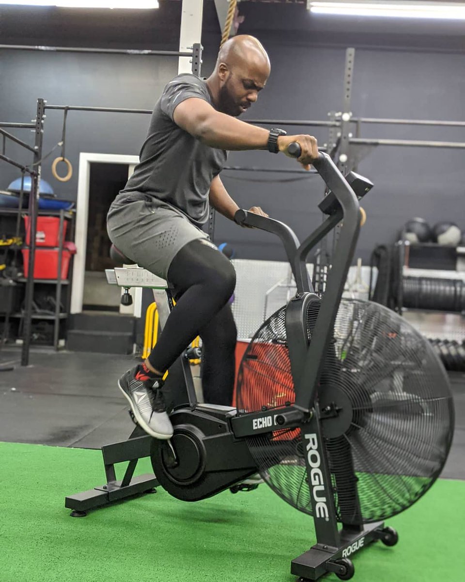rogue echo bike ireland