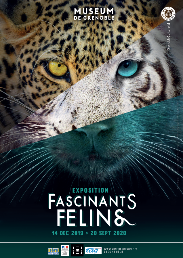 Exposition Fascinants félins, toujours en cours à l'Orangerie du Muséum ! https://t.co/h2Vzr9VWyt