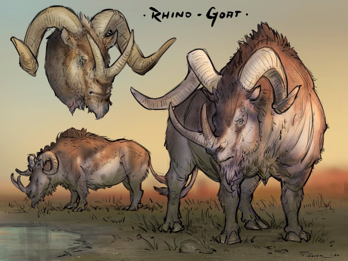 Day 5 of #creatuanary2020!! The #rhinogoat! I don't draw a lot of rhino-based stuff, so this one was pretty fun! ??  #art #drawing #sketch #rhino #hybrid #goat #procreate #ipadpro #creatuanary #animal #creature #horns #ConceptArt #digitalart 