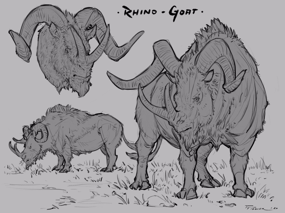 Day 5 of #creatuanary2020!! The #rhinogoat! I don't draw a lot of rhino-based stuff, so this one was pretty fun! ??  #art #drawing #sketch #rhino #hybrid #goat #procreate #ipadpro #creatuanary #animal #creature #horns #ConceptArt #digitalart 