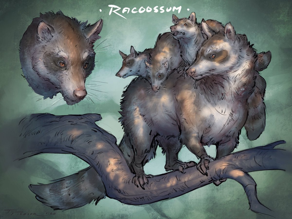Day 6 of #creatuanary2020! The #racoossum! An adorable mix of the raccoon and the opossum! ?? #art #drawing #sketch #raccoon #hybrid #opossum #procreate #ipadpro #creatuanary #animal #creature #cute #ConceptArt #digitalart 
