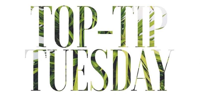Lisa Best (@aloelisa1) on Twitter photo Top tip Tuesday! What's your top tip for today?😁 #Toptiptues #supportlocalbusiness #SharingIsCaring <a href="/uptonhour/">Upton Hour ⏰</a> <a href="/UptonLatte/">Upton Ladies who Latte</a> @allaboutmalvern <a href="/LadySadie66/">Sadie Skipworth</a> Top tip Tuesday! What's your top tip for today?😁 #Toptiptues #supportlocalbusiness #SharingIsCaring <a href="/uptonhour/">Upton Hour ⏰</a> <a href="/UptonLatte/">Upton Ladies who Latte</a> @allaboutmalvern <a href="/LadySadie66/">Sadie Skipworth</a>